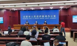 沈阳最新爆料新闻,揭秘某重大事件背后真相